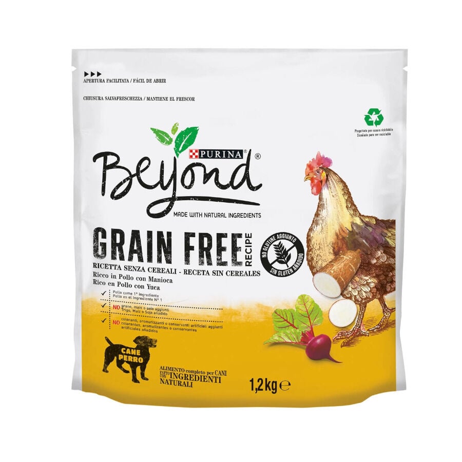 Purina Beyond Grain Free frango ra&ccedil;&atilde;o para c&atilde;es, , large Imagem n&uacute;mero 1